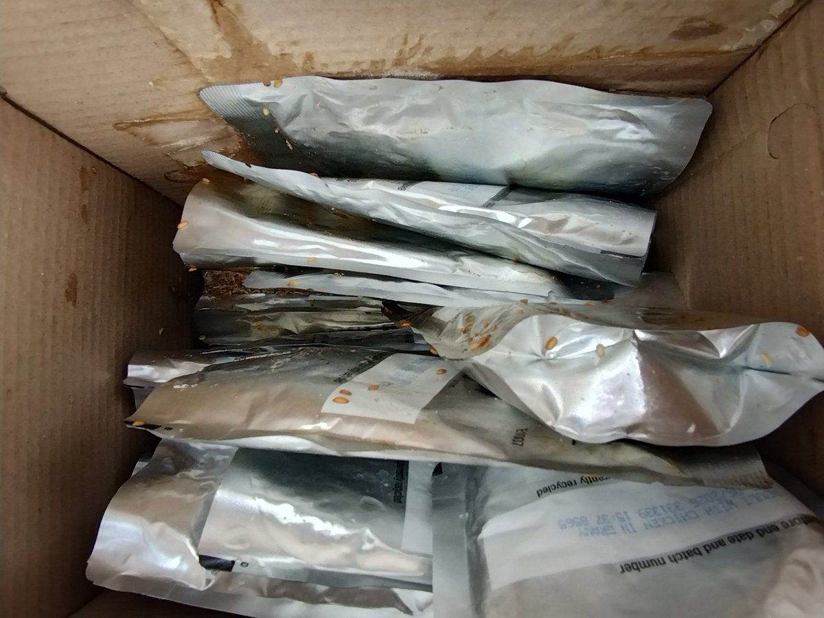 markwhyatt's tweet image. Just purchased these from @AldiUK and well i can tell you now if there was smell o vision then you would all be 🤮🤮🤮. Certainly wont be feeding these to my cat's #catfood #maggots #ALDI #goneoff