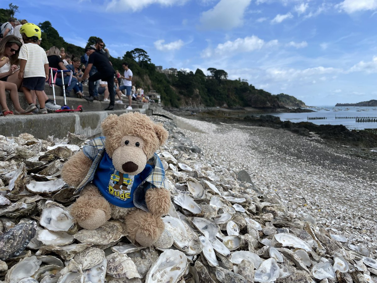 AltheBear3's tweet photo. There are lots of oysters at Cancale! I’m not a fan of oysters but all those empty shells show that lots of people are! ❤️ Cancale though. Then spent the afternoon relaxing on the beach. Look at our lovely blanket 😃. #cancale #oysters #beach @Rubbastuff #pacmat @cancaletourisme https://t.co/1Vv4Man85D