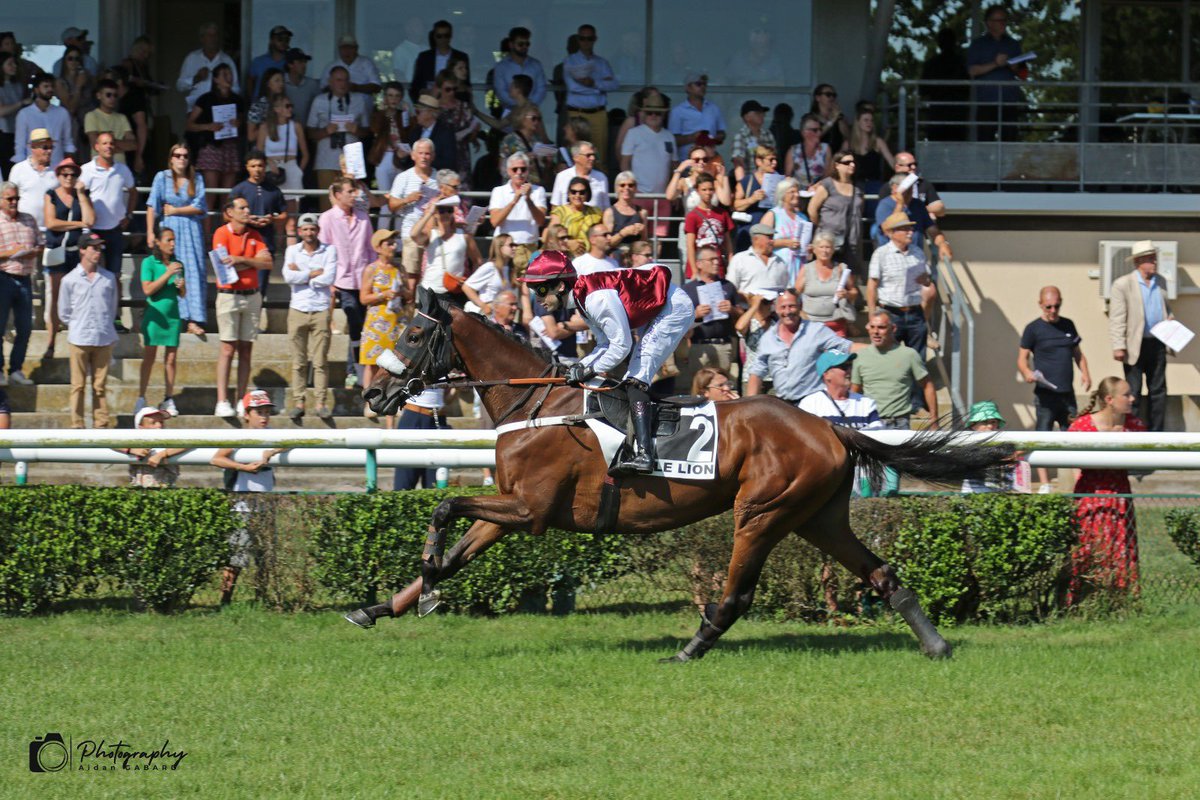 Course 1 -  PRIX JEAN DE LA SAYETTE - (Haies)
🥇 BELLA DU DAVIER
Propriétaire : A. Clavier
Jockey :  T. Andrieux
Entraîneur : P&amp;C Peltier
Éleveurs : S.Boisteau, A.Clavier, PH.Henry