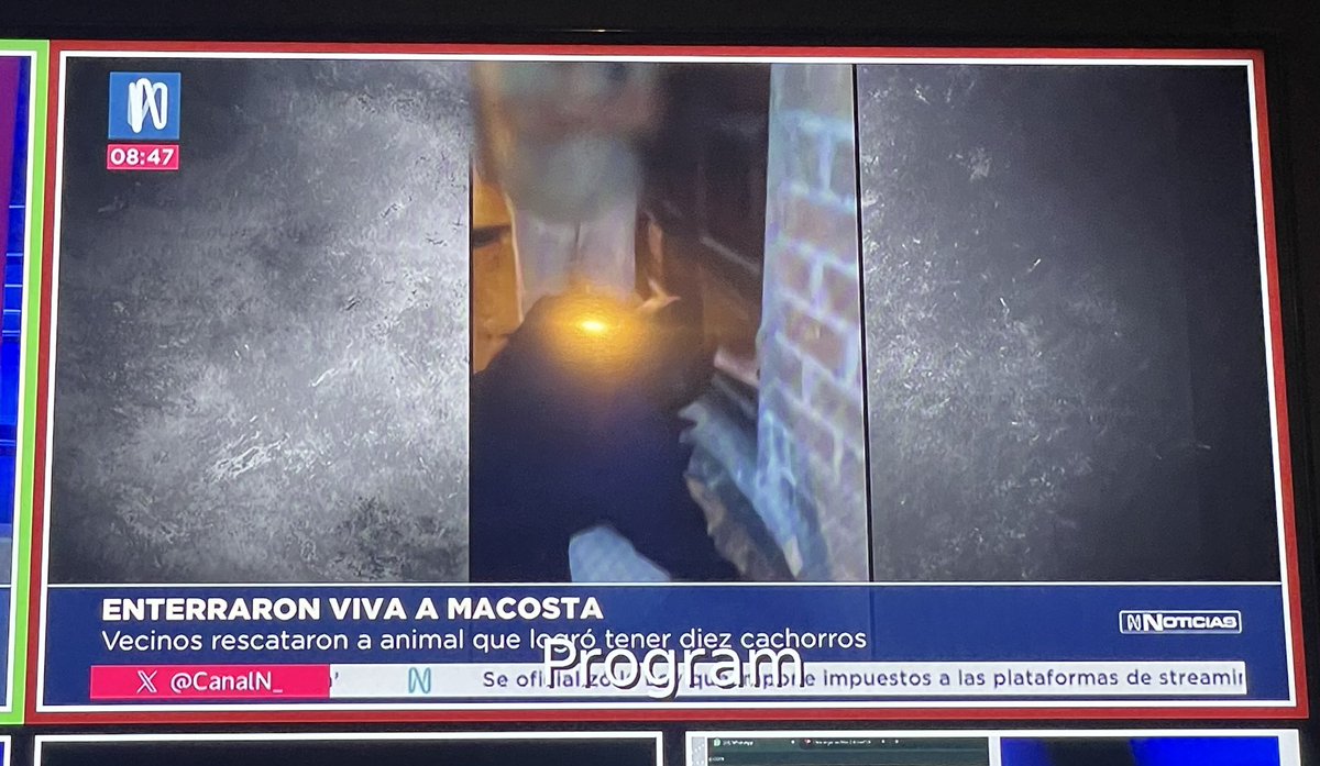 iosoimanuel's tweet photo. “Enterraron viva a mascota” y yo me pregunto “¿Quiénes somos más animales, las mascotas o nosotros?” Vivimos una realidad inimaginable. https://t.co/Vz6oXJoD6l