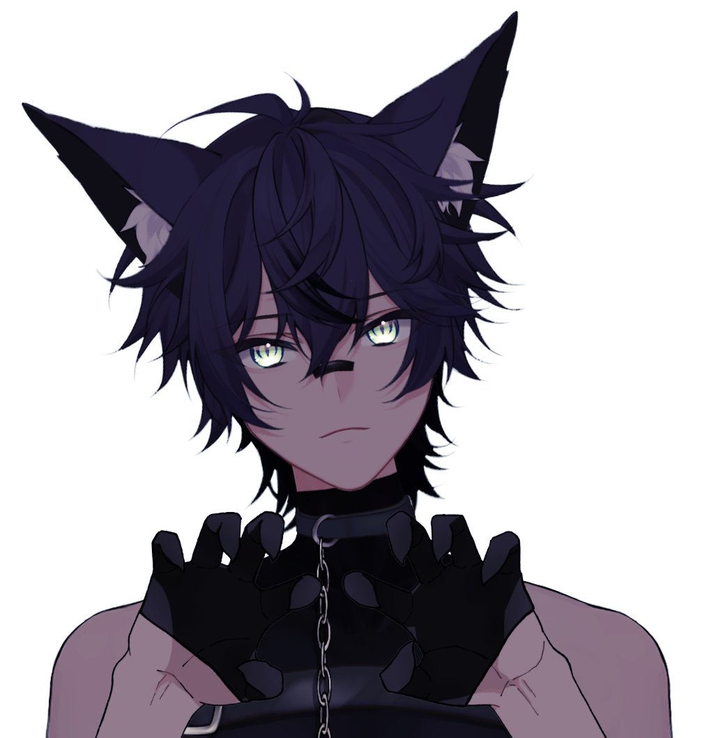 Tomoe 🦊🥽 tweet media