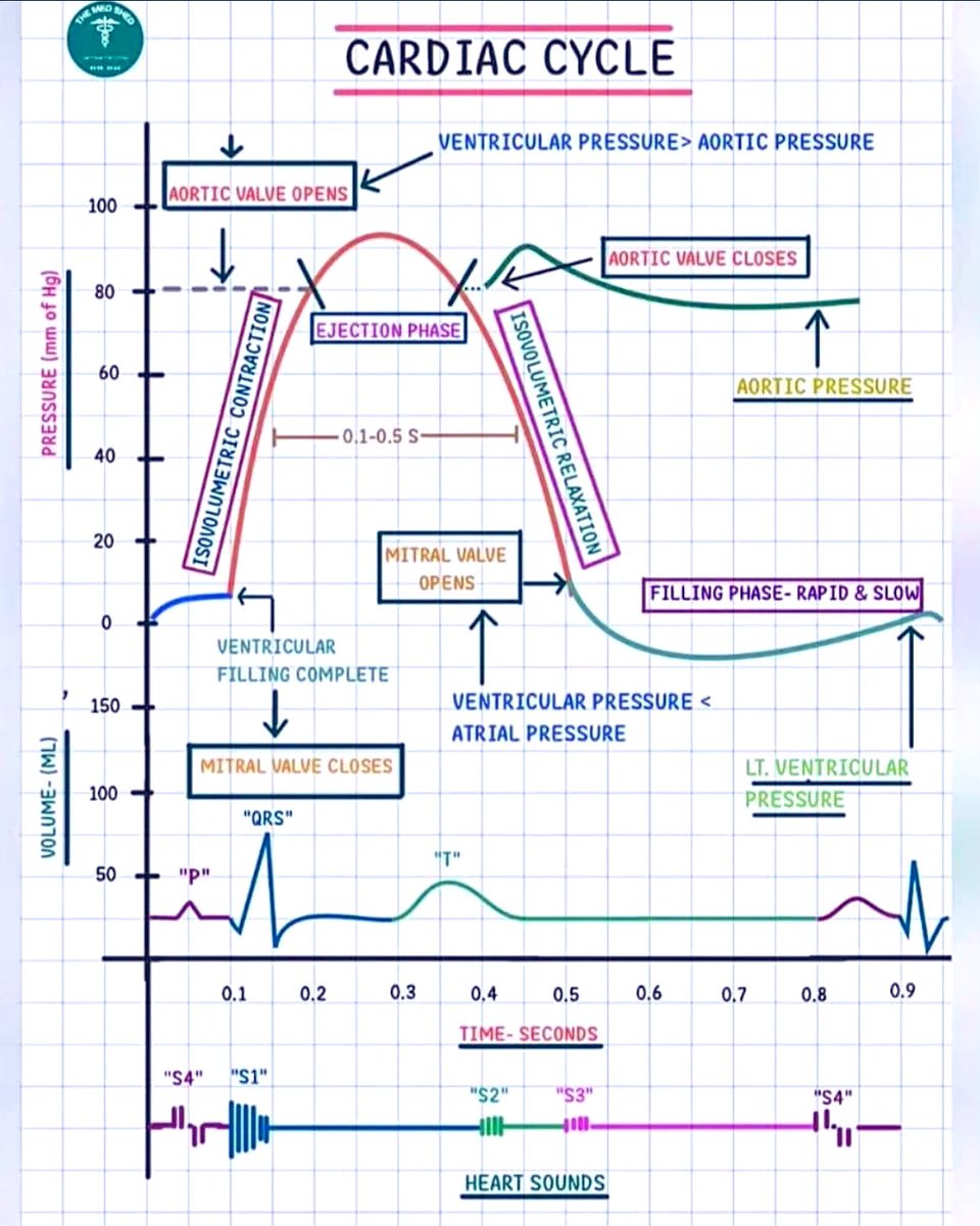 CARDIAC CYCLE 📌