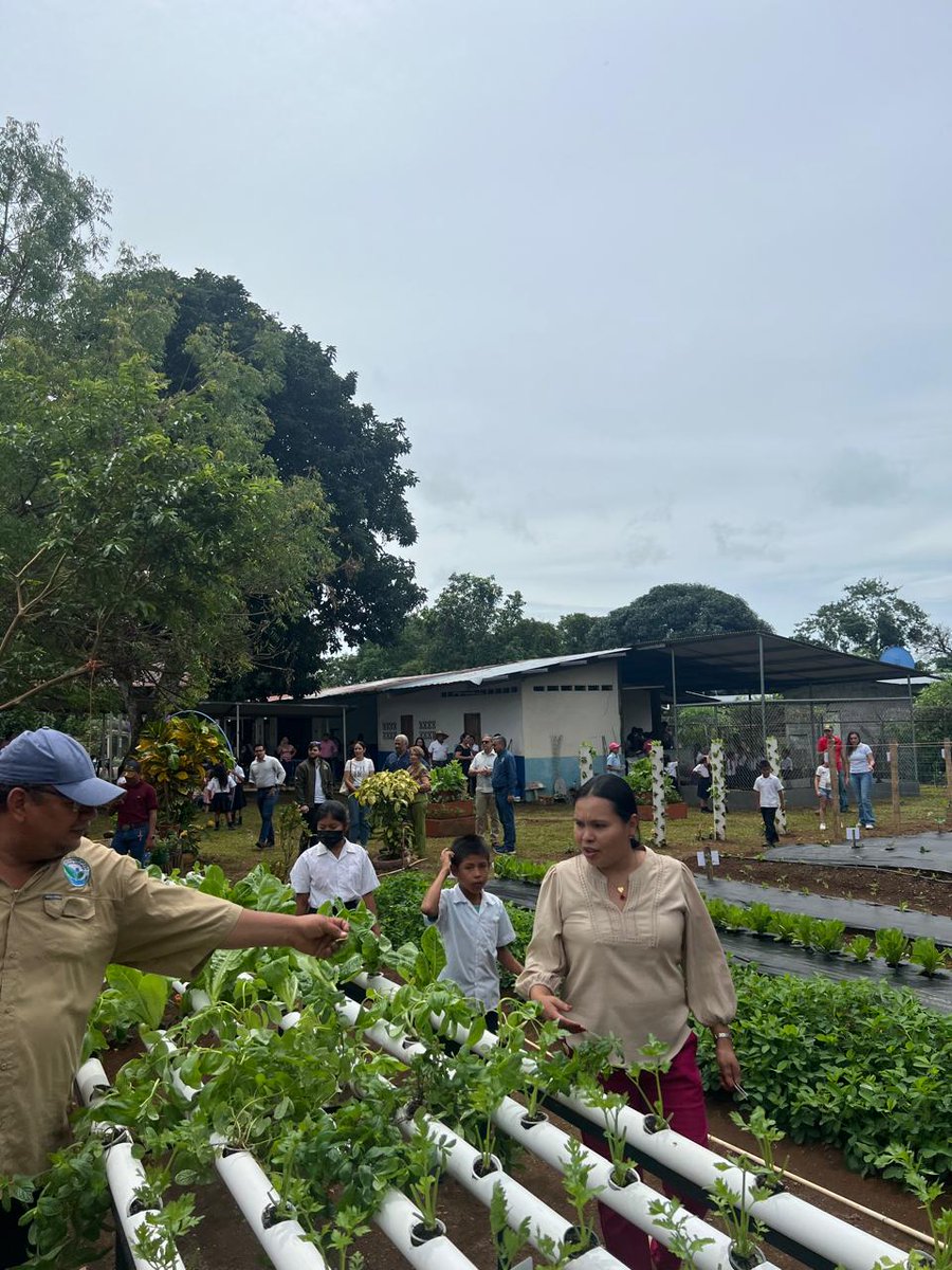 La <a href="/JuventudAgro/">Juventud Agro</a> en colaboración con la Fundación Wonder Panamá, hizo entrega del primer huerto piloto en la escuela de Cochea Arriba, David, con 4 métodos agrícolas y una galera de pollos ponderadas, busca mejorar la alimentación en comedores escolares.

#RPCRadio