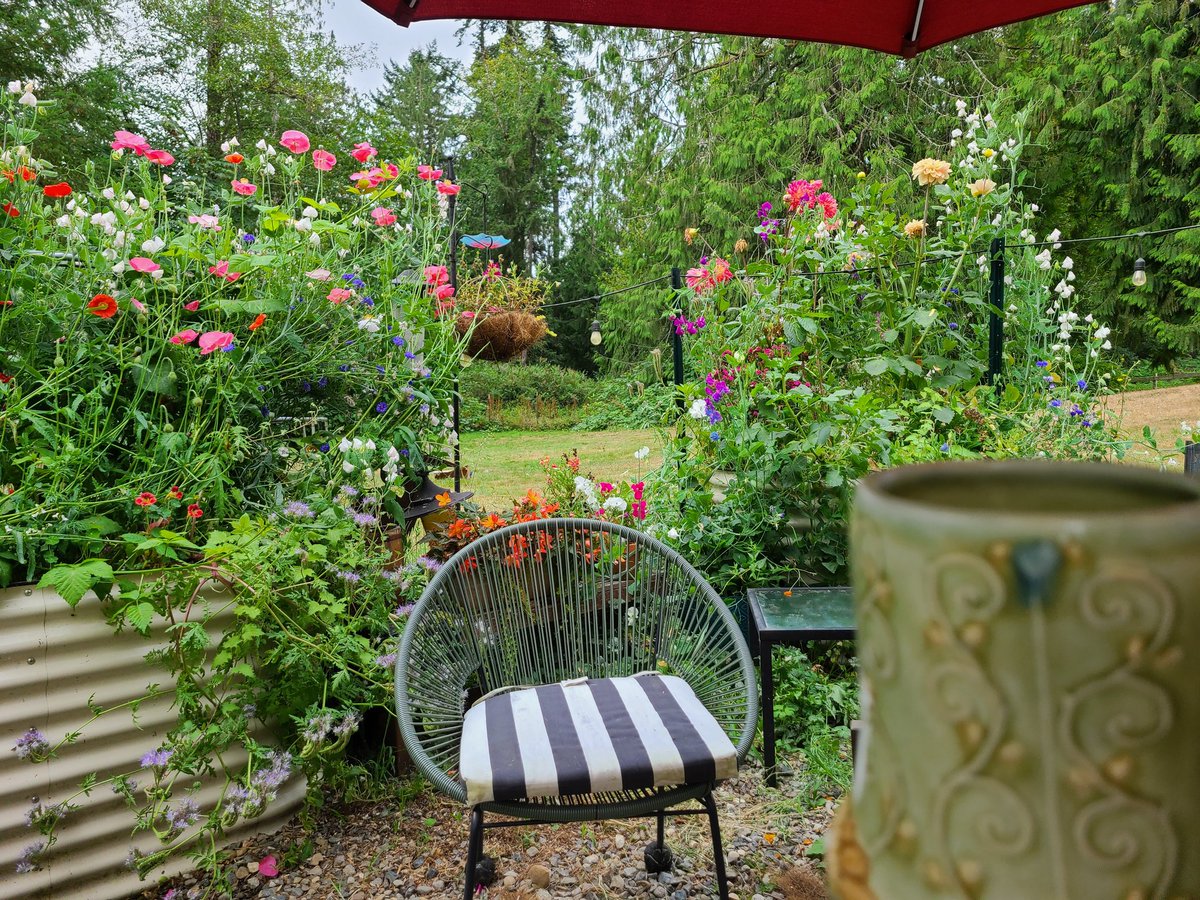 StBridgit's tweet image. Coffee in the garden - my flowers went crazy this year 💐🐝 💚