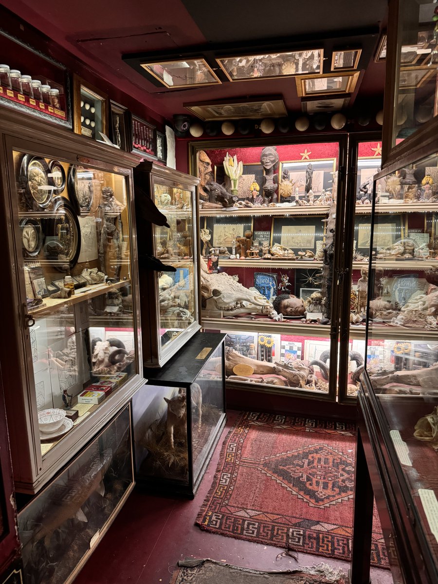 Joe Crann tweet media