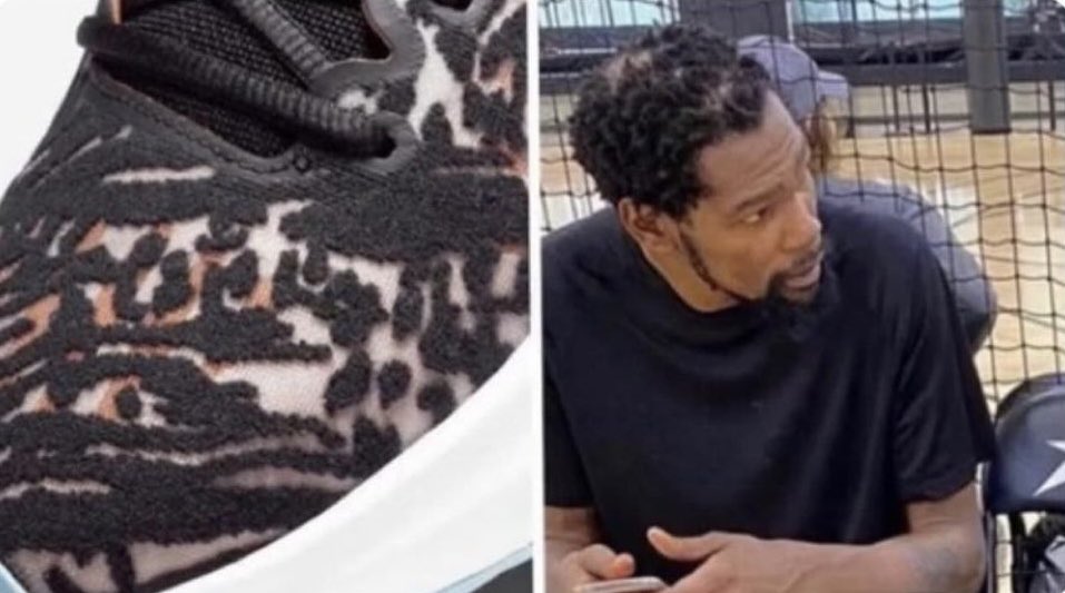 layupzone's tweet photo. The KD14 shoe design looks very familiar https://t.co/NEmZ4EUDJZ