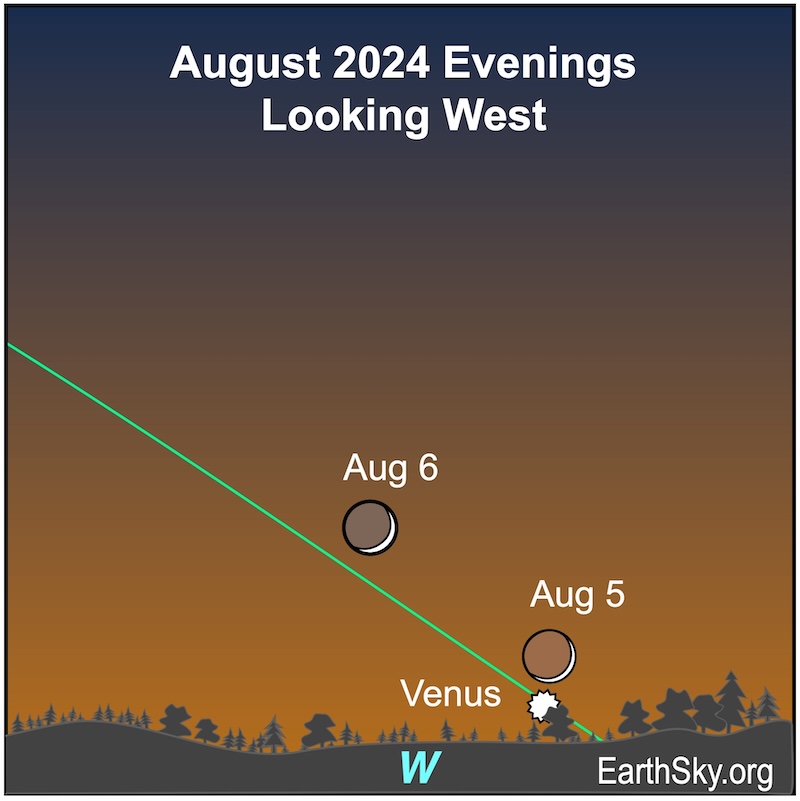 Denver Astronomical Society tweet media