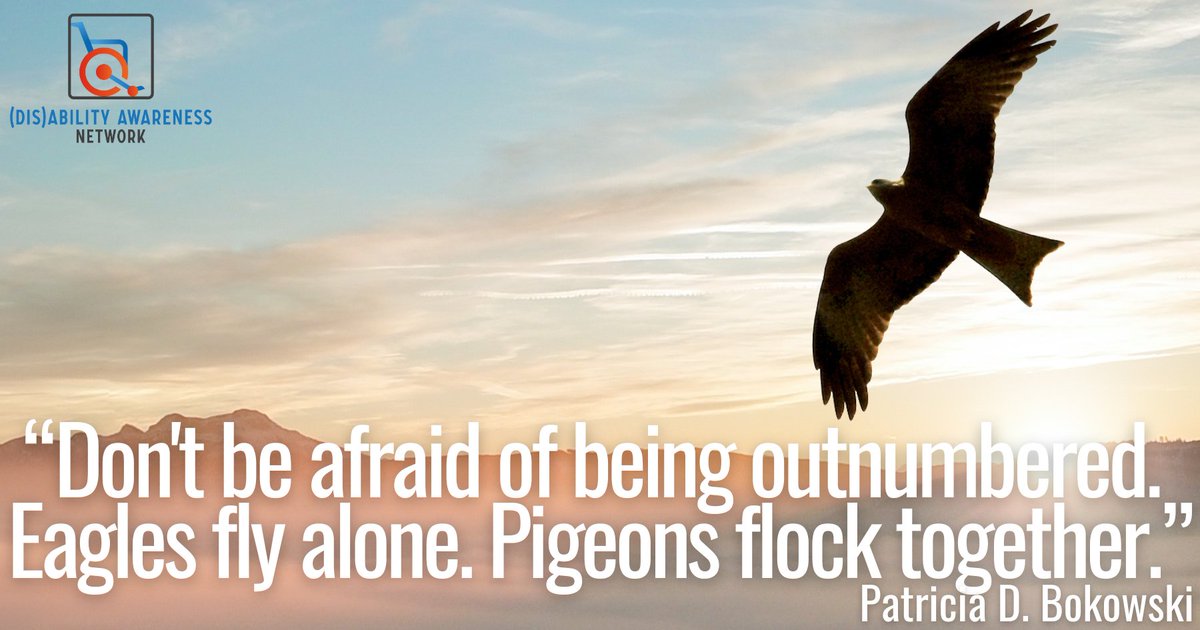 disability_a_n's tweet photo. “Don't be afraid of being outnumbered. Eagles fly alone. Pigeons flock together.” - Patricia D. Bokowski - 🦅🙂💪✌️🧡💚💙 #StandOut #BeAnEagle #Courage #MotivationalQuotes https://t.co/svt4gCT1Nq