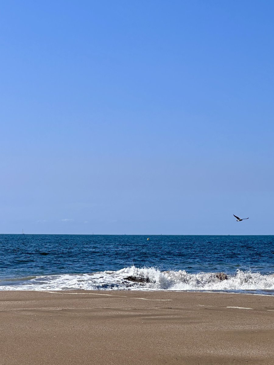 Pantone: Azul verano.