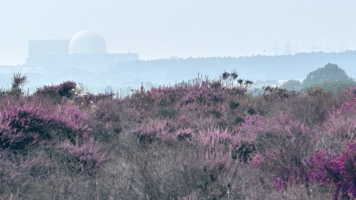 twisterellla's tweet photo. #AlphabetChallenge #WeekEforElectricity
Another power station today, Sizewell B https://t.co/SI2JRFYbwG