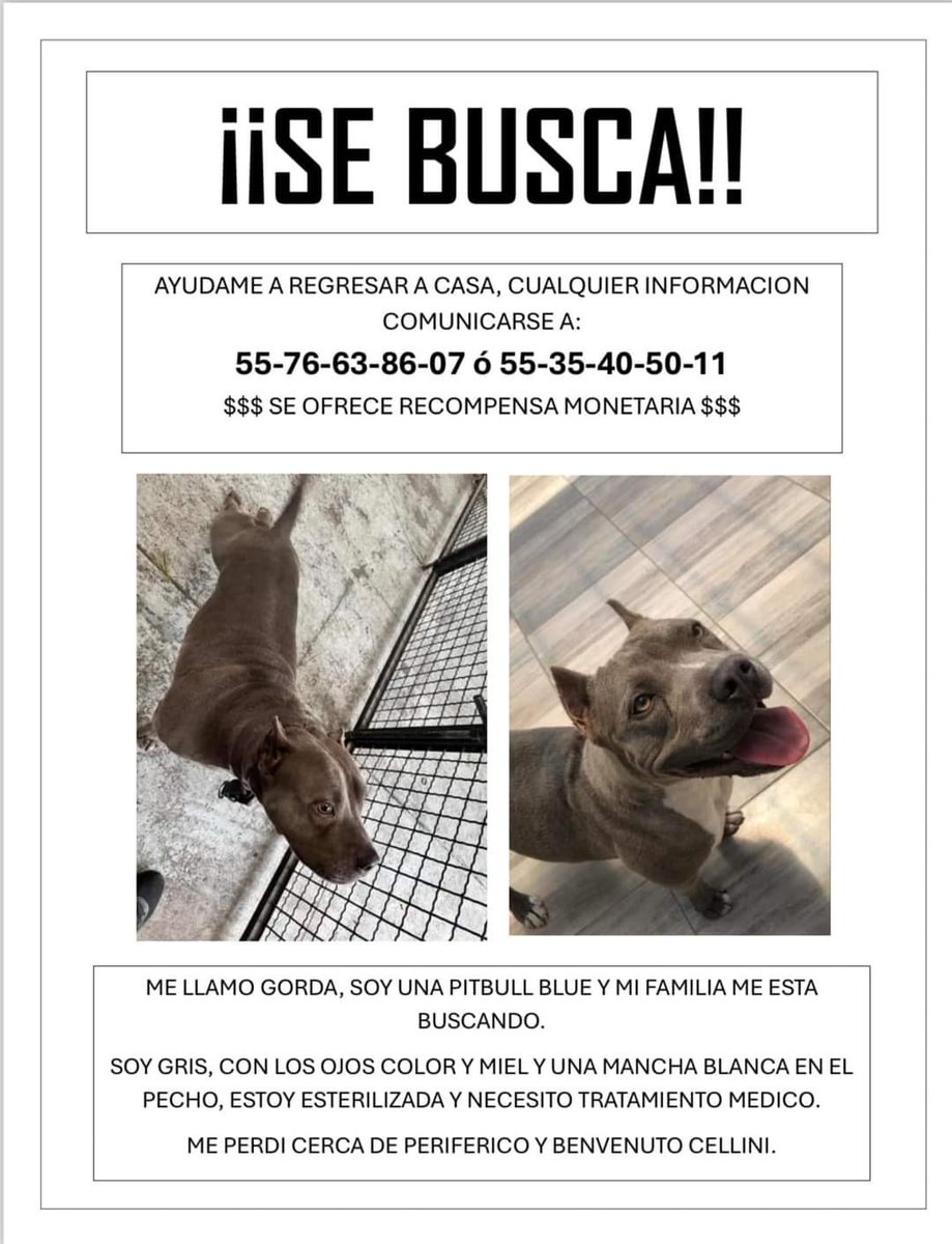 Carolinazoe2's tweet photo. @vecinosnapoles @sanjoseinsurgen favor de comunicarse a los teléfonos, gracias https://t.co/EnoxNEDSjY