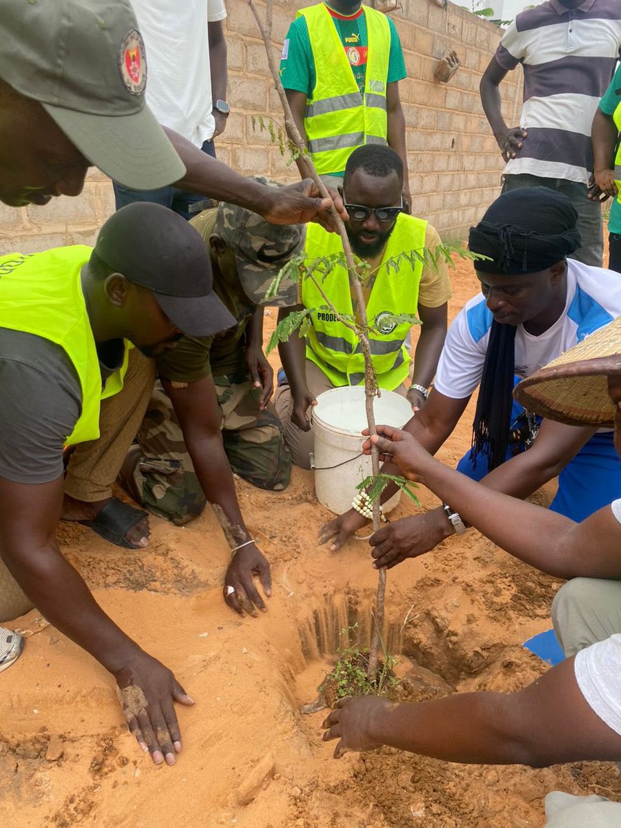 PRODEVU4's tweet photo. Sur les 40 plants, 25 sont fruitiers dont des manguiers, arbres parrains de cette année. Un Sénégal 🇸🇳 propre et vert, notre priorité!! #prodev4 #EngagementCitoyen #lacitéaucoeurdenosactions #SunuGoxSunuYitte https://t.co/Sf1THK9DHQ