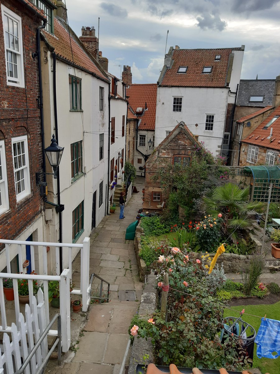 Harry Baker tweet media