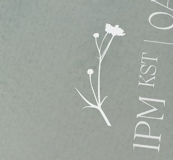 Saneke_'s tweet photo. La flor que sale en el solo de Tzuyu es un "no me olvides" esta flor significa secreto del amigo enamorado, los crisantemos esconden un mensaje duro “solo te quiero como amigo”, y el mensaje de la flor No me olvides es la del eterno enamorado, el amor no correspondido

OMG ^@%#$ https://t.co/dGfhpuE3jR
