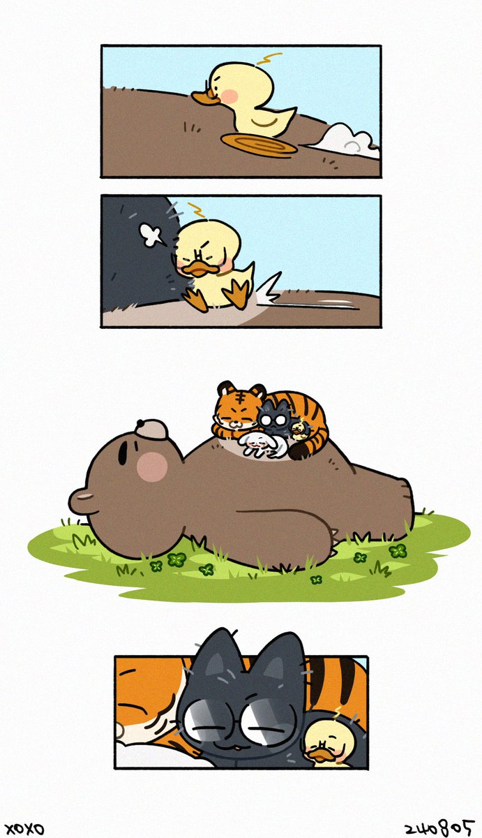 🍀🐥🐯🐈‍⬛🐶🐻🍀