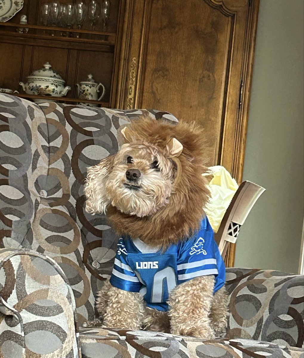 Who's ready for <a href="/Lions/">Detroit Lions</a> Season? #LionsCamp #GRIT