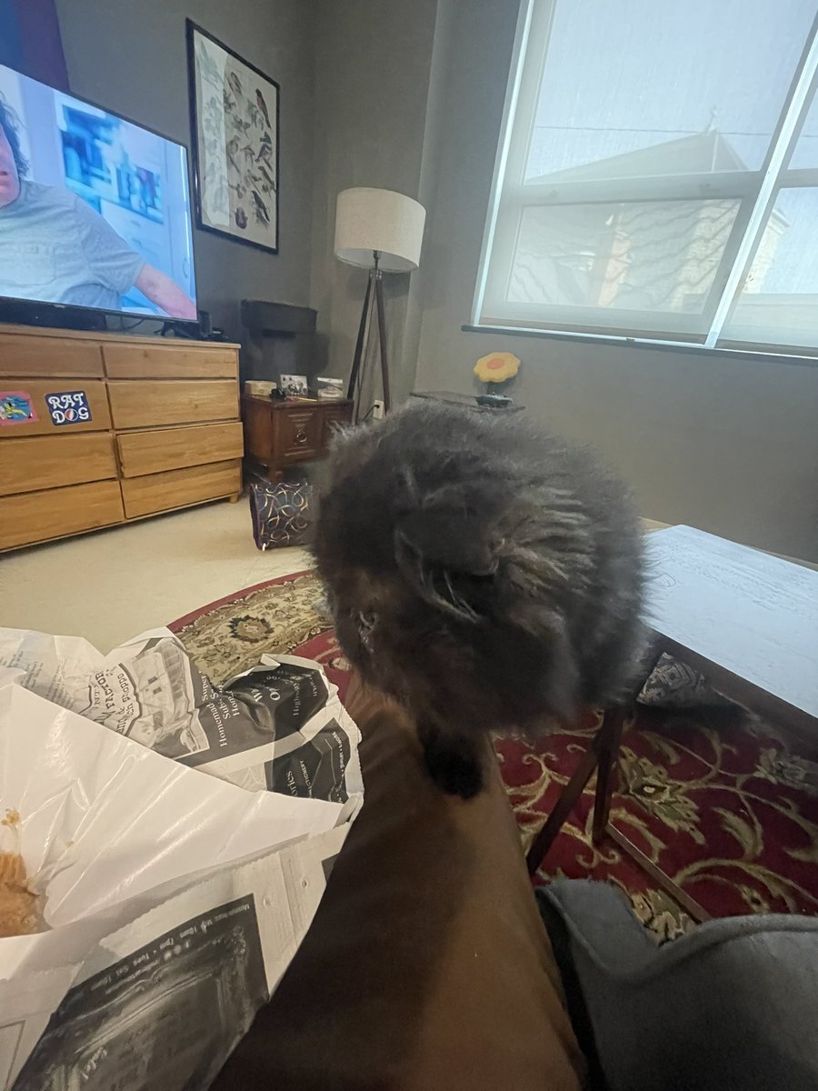 ohi dade. whoa is thate. Lank Tout? ime didn’t even notice