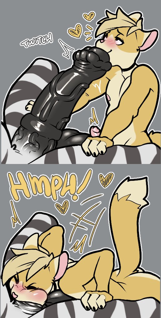 Kiwa Biscuitcat (COMMS CLOSED) tweet media