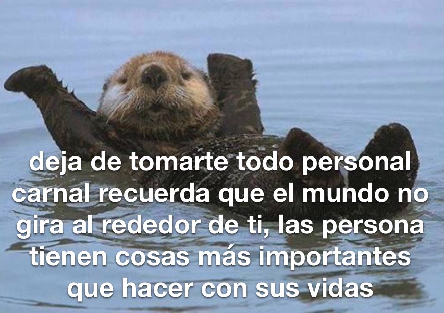 emociones amarillas (@conoloracigarro) on Twitter photo 