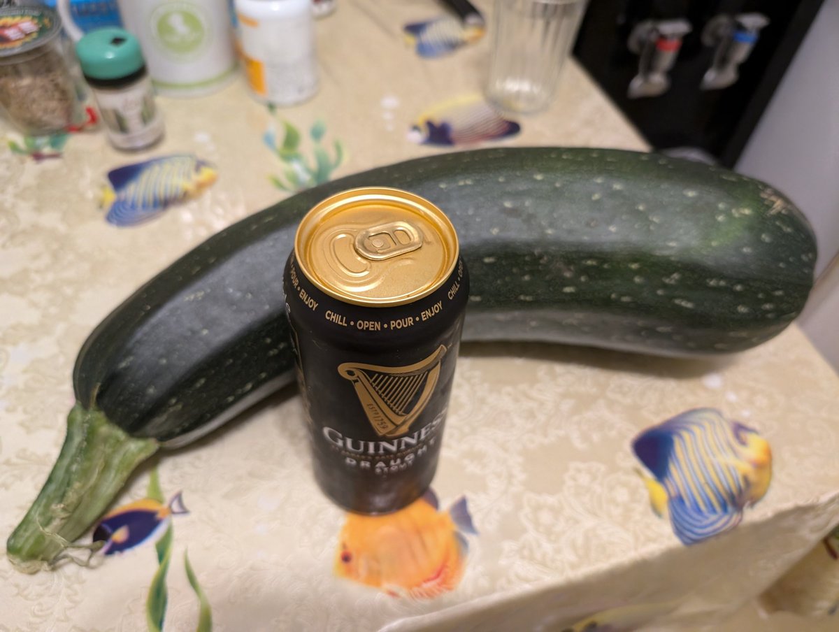 ... это случилось.
мне подарили кабачок.
*глупое пиво встало рядом для масштаба 
**пиво завтра будет в этом хвиттере, что бы заценитб очередное тикток творение, пусть и запоздалое.