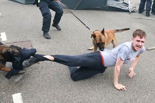 Sandford Police Commentary tweet media