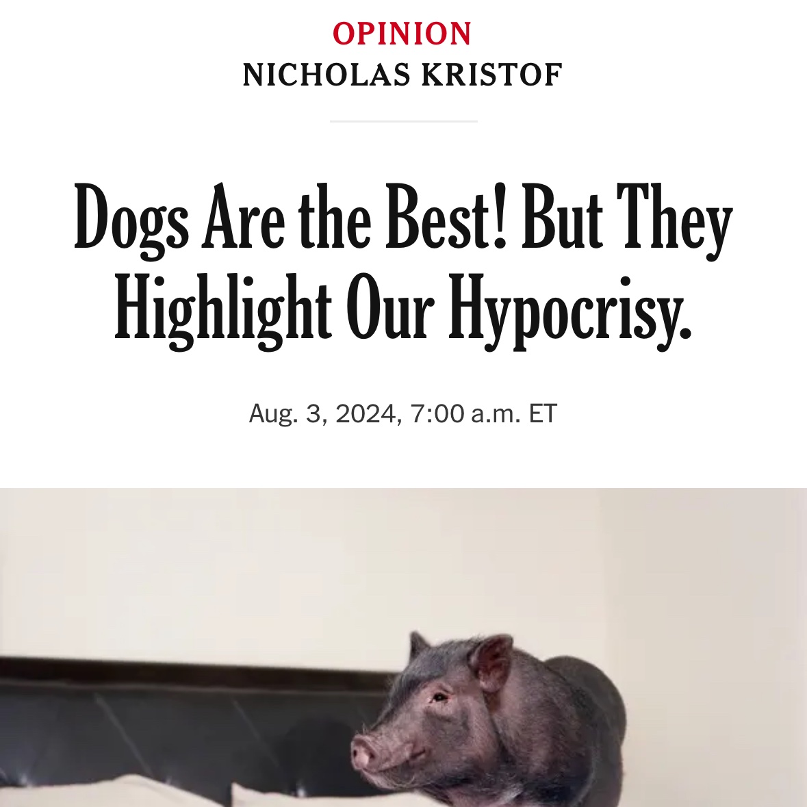 I really appreciate <a href="/NickKristof/">Nicholas Kristof</a>  of the <a href="/nytimes/">The New York Times</a> for including me in this thoughtful piece. I hope more journalists will be inspired to write about our hypocritical treatment of other animals.

Veterinarians are normalized to the idea that animals are treated differently
