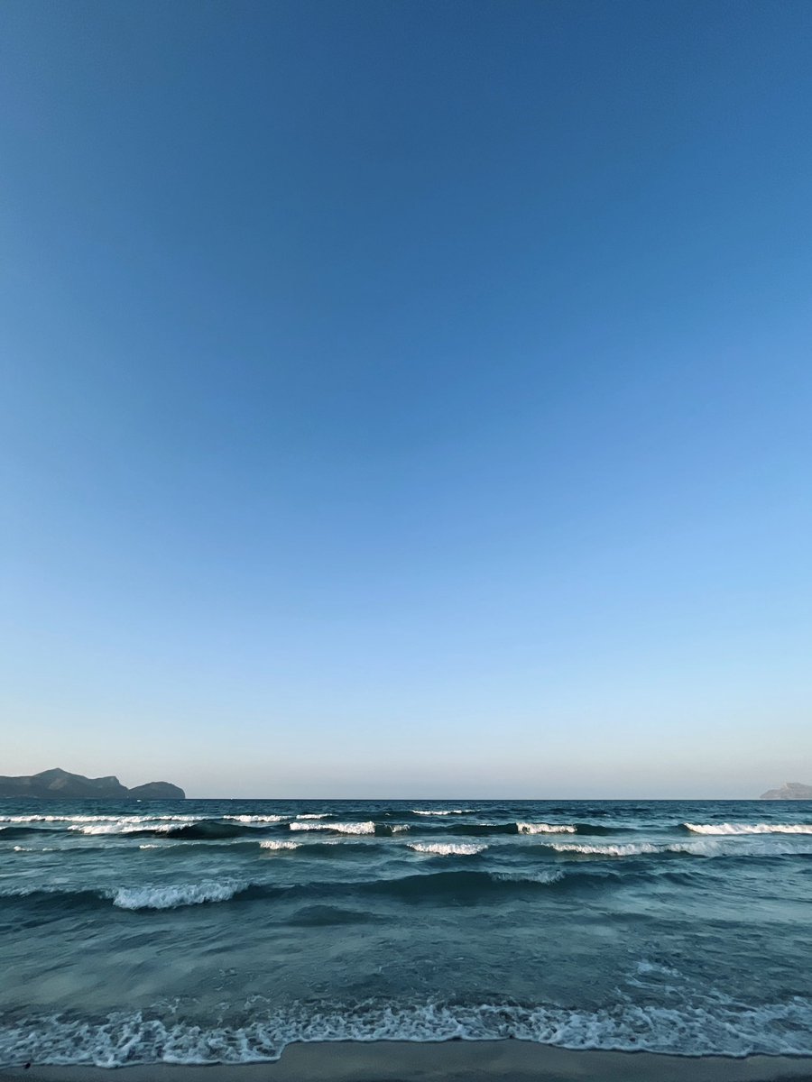 p_botey's tweet photo. 🐚 https://t.co/31jQPFQ6gq
