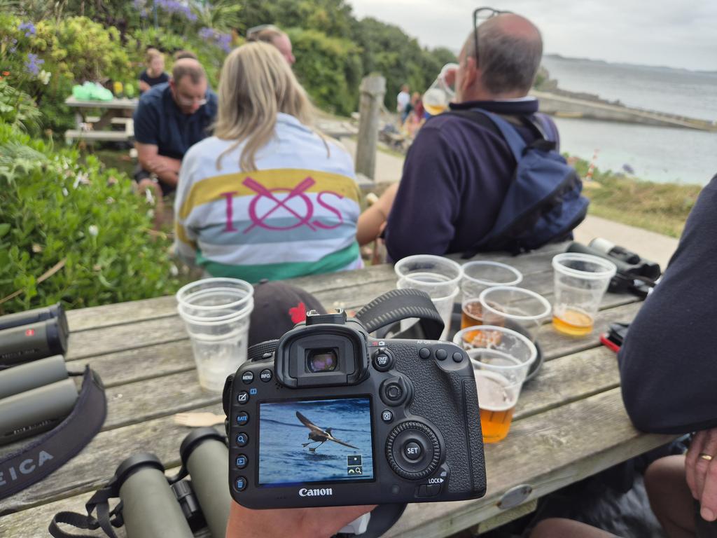 "Another Wilson's" pretty much sums up the day <a href="/Scillypelagics/">Scilly Pelagics</a> rounded off in the Turks Head 🍻