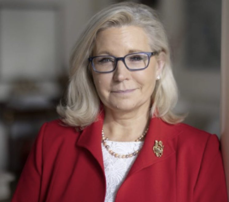 LeftyWinter's tweet photo. Hit that 💙 emoji if Liz Cheney should support and endorse Kamala Harris !!!

#RepublicansForHarris https://t.co/DwLTTmYp7f
