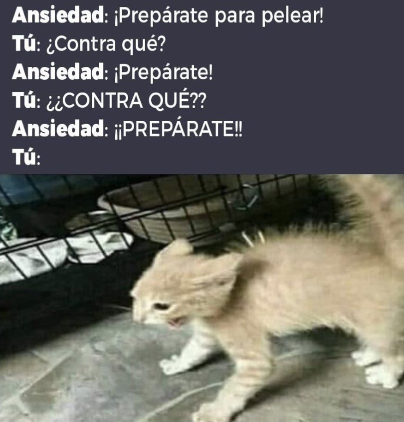 Ana_LaPatata (@ymuchosmemes) on Twitter photo 