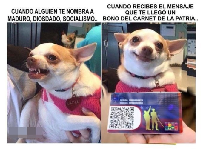 Así es la Escualidez cuando nombran a Nicolás Maduro, Diosdado Cabello o la palabra Socialismo.. y así son cuando reciben EL Clap y les llega un mensaje del sistema patria con un bono especial / Tarek William Saab
Oriente Medio
Cagua
La Guaira
Actas
Diosa
Vente Venezuela EEUU