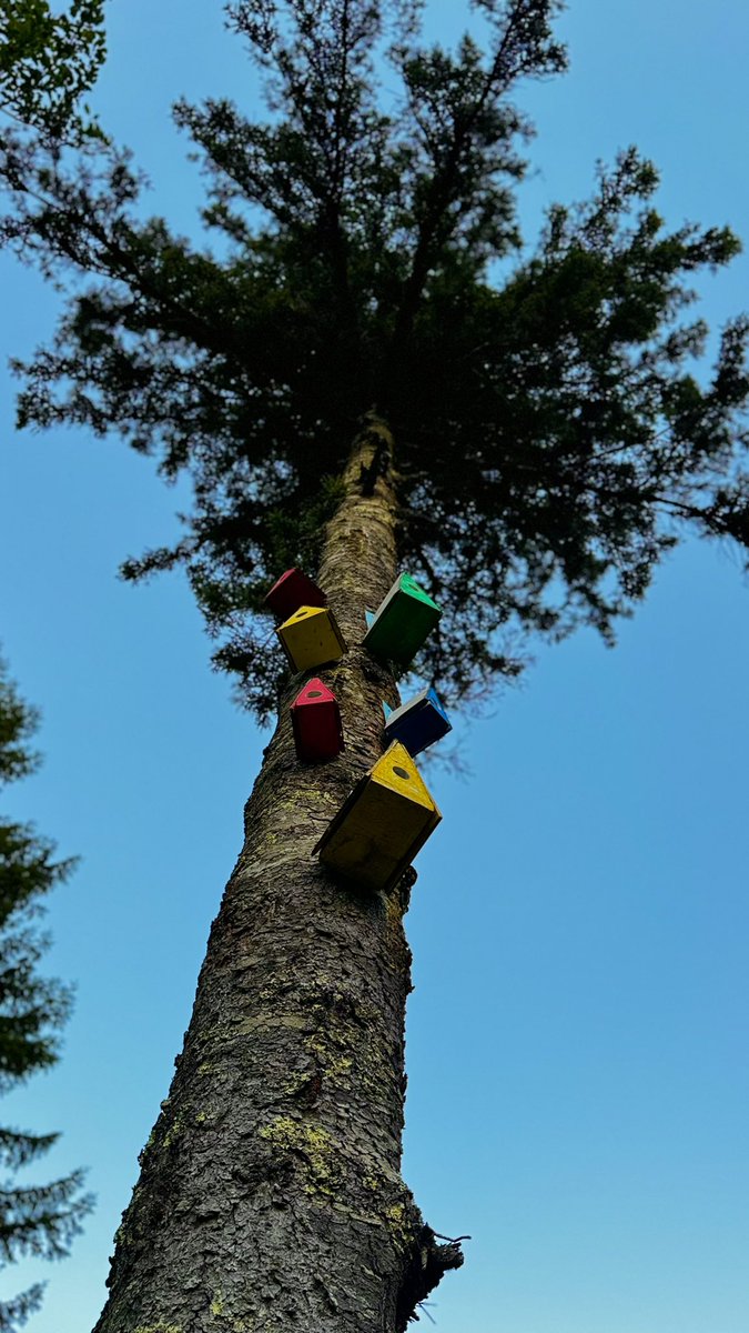 #çaykara#eğridereköyü#mezire#foto