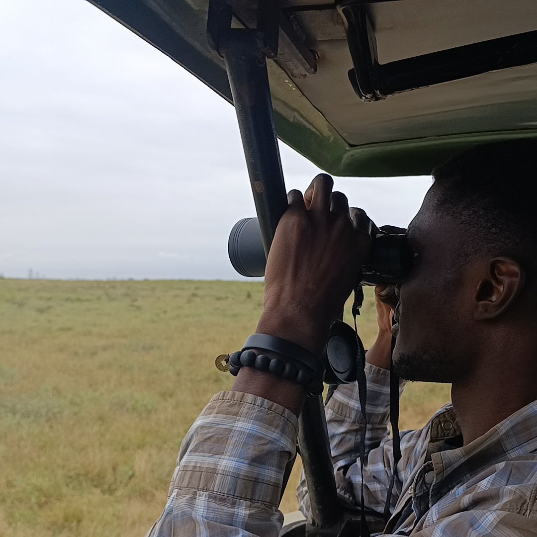 testys💫 tweet media