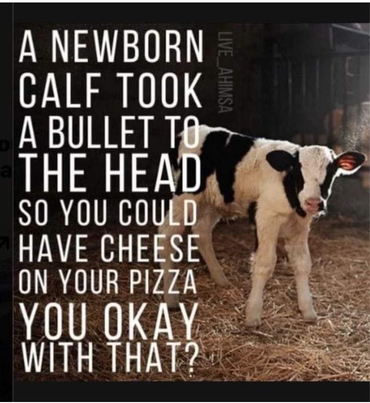 Mick Walker (@vegancyclistuk) on Twitter photo 