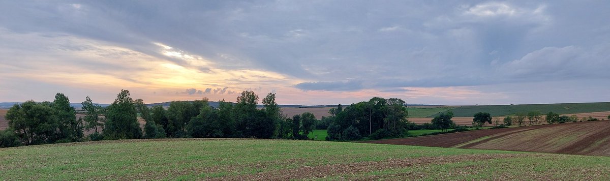 RVHunter57's tweet photo. En cours ☝️

Soirée #Chasse avec un peu de #Pirsch (approche discrète ou pas 😅) pour du comptage et #Affût (mirador) !

Lièvres 
Brocards dont ce 6 régulier
Pigeons
Corbeaux
Etourneaux
Passereaux
Rapaces 
... et des limaces par centaines 😱

#StayTuned 
#IlsSachentNousChassons https://t.co/ieTm9kMBUX
