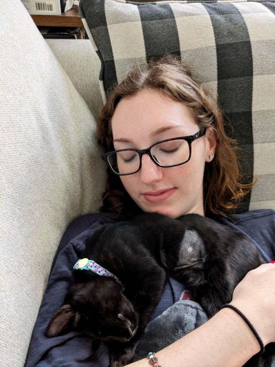 njsomerstein's tweet photo. We adopted a kitten https://t.co/qFn4cpCr2V
