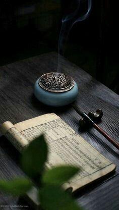 – Добро пожаловать на Лофу Сяньчжоу. Меня зовут Яньцин, лейтенант Облачных рыцарей, можешь обращаться ко мне за помощью в любой момент