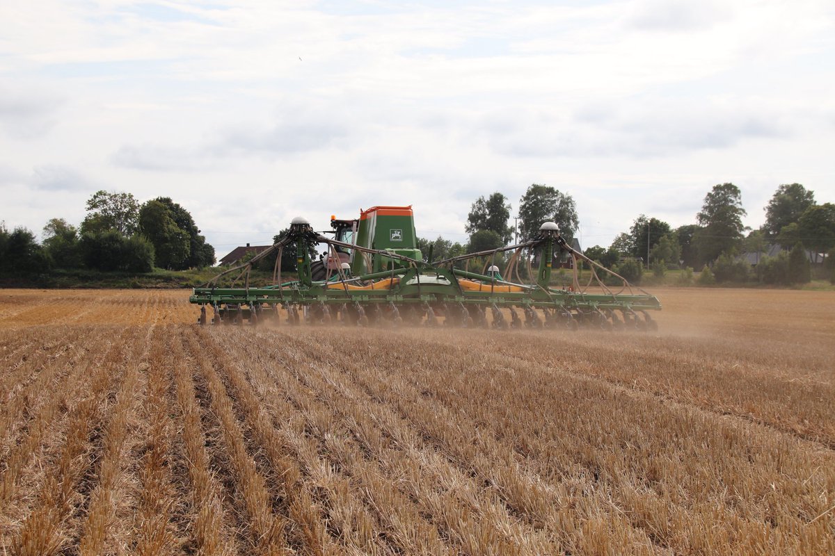 makesoilgreat's tweet photo. It's become a tradition to have a trial with w.osr every year. Together with @ErlandLundeby and his "little" fieldtrial-drill we test different issues. 
This year: varieties, drillingdate, plants/m2 and even the amount of NPK. 
First part is ✅️

#KarbonAgro #RegenAg
#Fieldtrial https://t.co/2LkBFJu4N5