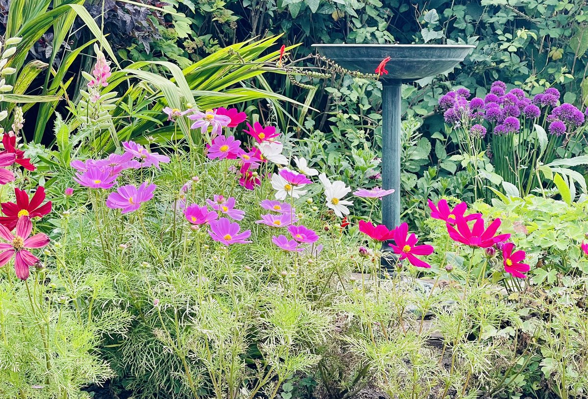 Nikki McGee tweet media