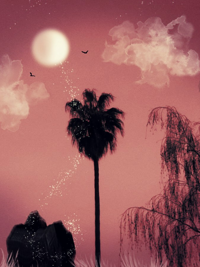 LabrynthKnight's tweet image. #Drawing #Photo #Art #Poem #Moon #Palm 
&quot;The Moon Above, it is my Love,
it coos to me with songs of Dove.
If I had wings to put in Flight, I&apos;d rise up closer, to the Light.&quot;
Photo Art, Wendy, Aug. 2024.