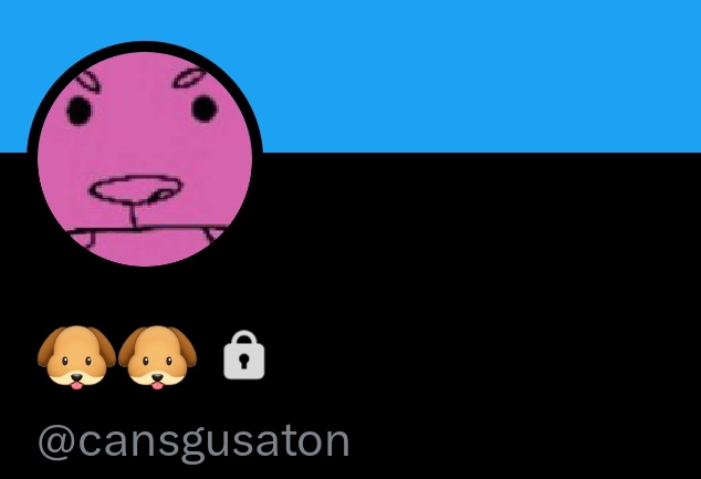 I'll just put this here then 👀 I'm gonna delete this tweet later though

(I'm probably not gonna accept evey follow request :c )