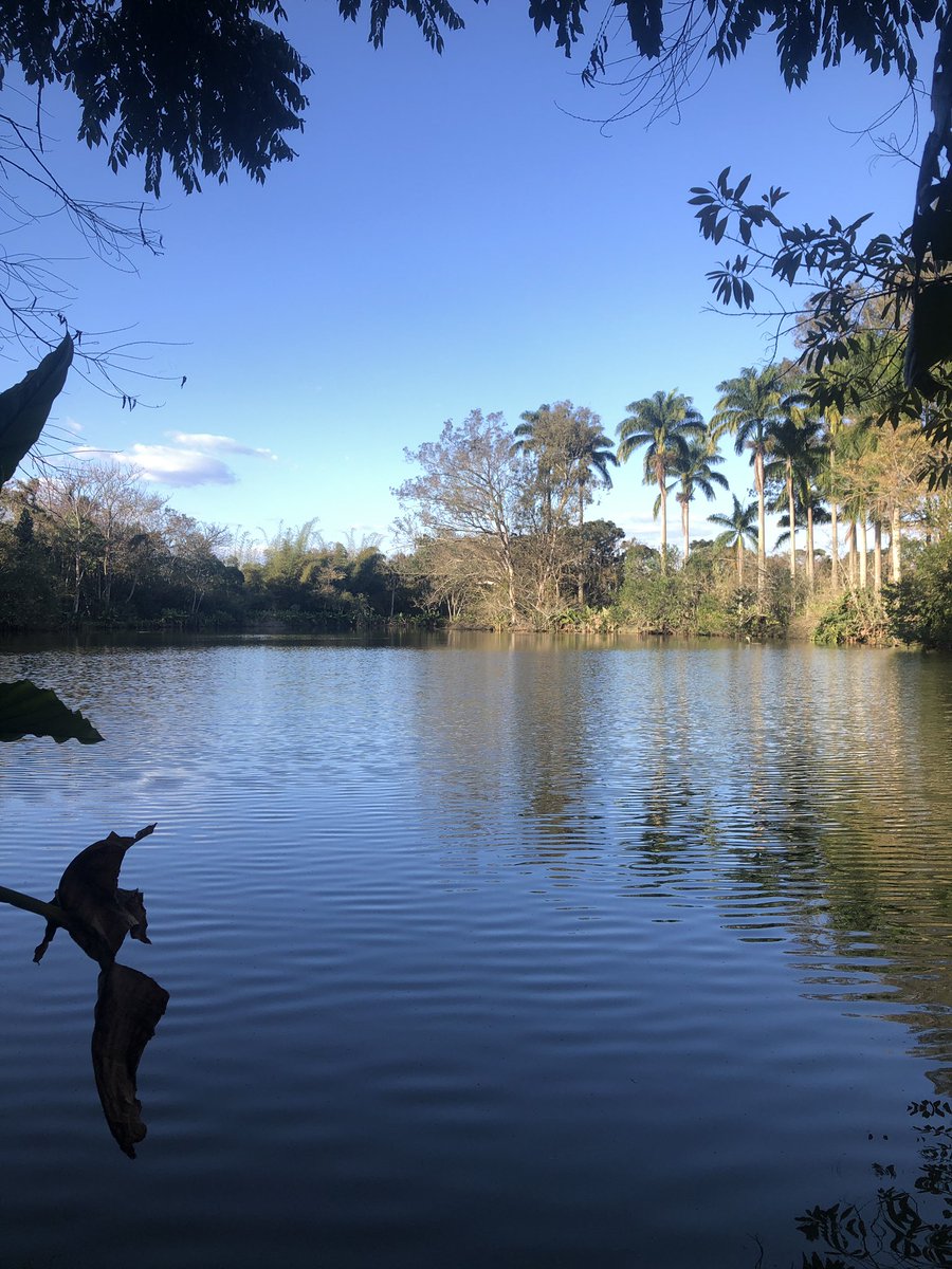andreisjc's tweet photo. E tem canalha querendo privatizar nosso parque lindão desses.
O Parque da Cidade é nosso, o parque é do povo!
#sjc #sãojosédoscampos #parquepúblico #parquedacidade https://t.co/CxVgEsZ3oS
