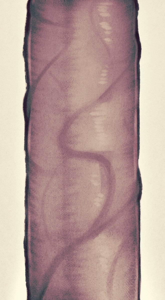 Sophie'sToast (@sophiestoast) on Twitter photo 