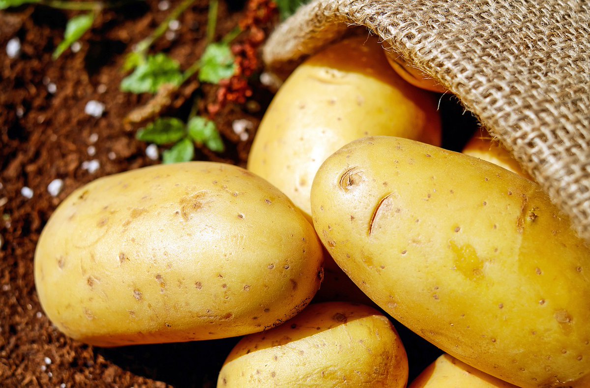 The world is facing food crisis and malnutrition. Agri-green brought solutions for hunger and food crisis. All organizations collaborate with Agri-green <a href="/UN_Women/">UN Women</a> <a href="/WFP/">World Food Programme</a> <a href="/UN/">United Nations</a> <a href="/FAO/">Food and Agriculture Organization</a> <a href="/bjerde_anna/">Anna Bjerde</a> <a href="/UNEP/">UN Environment Programme</a>