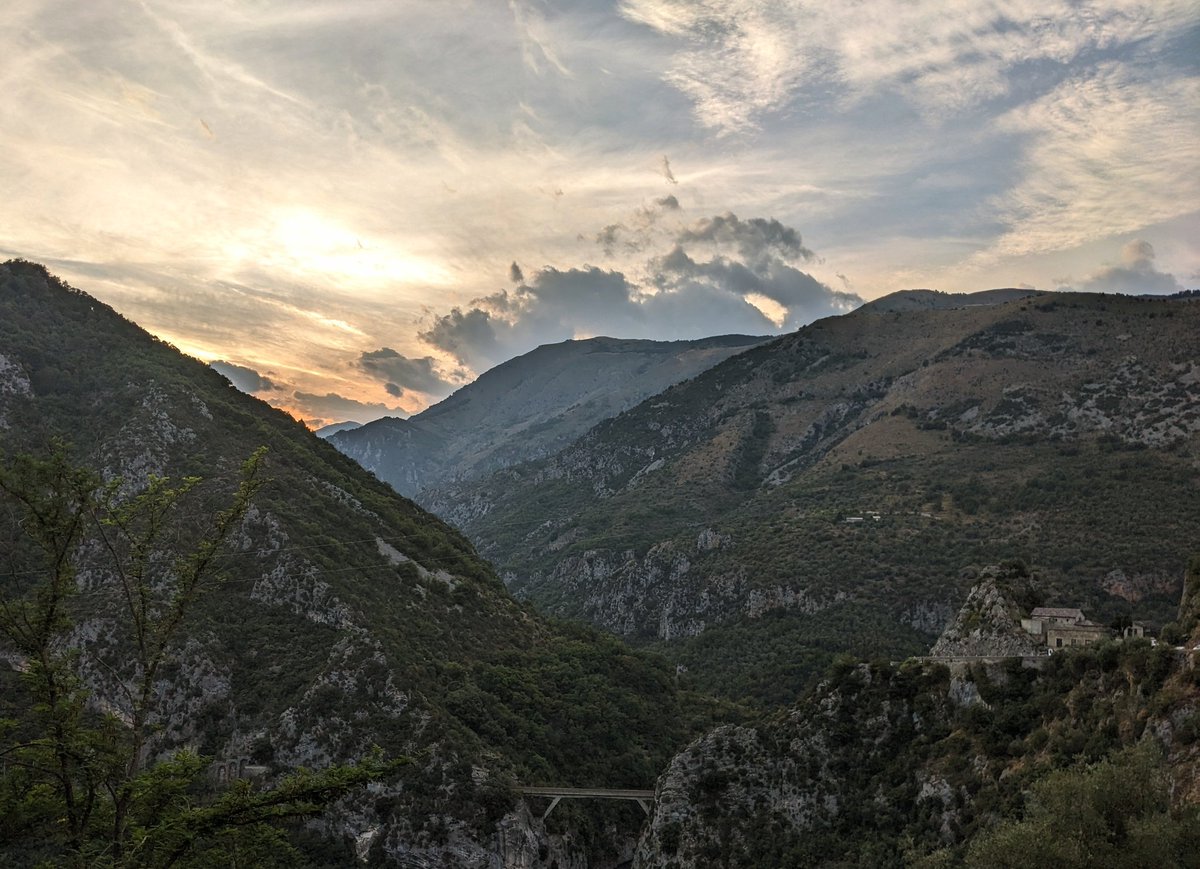 Nikki Rees tweet media