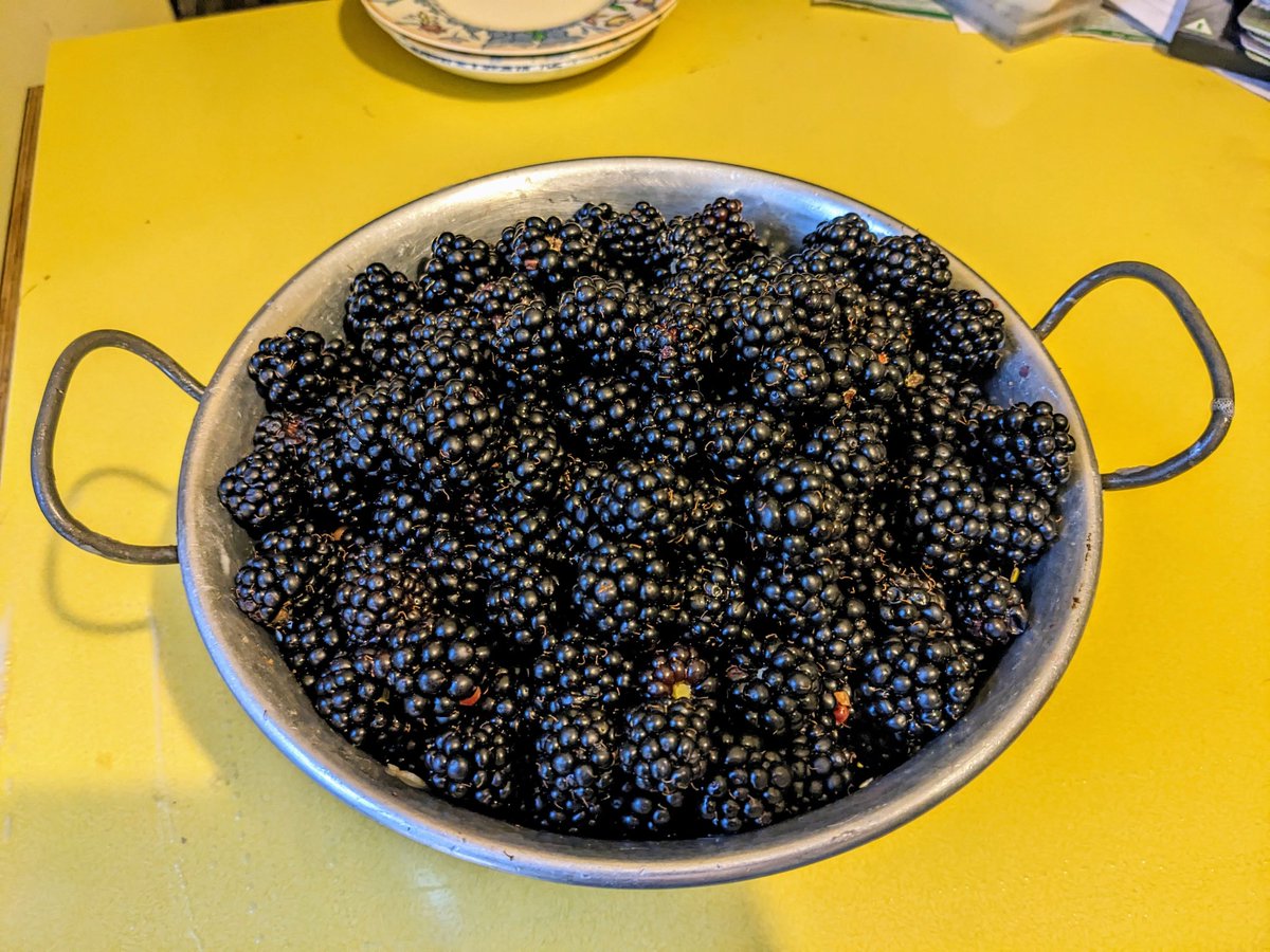 Heaven is amongst other things the first pick of blackberrys.