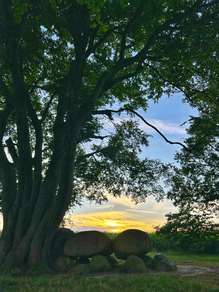 @koplamp.bsky.social Martin Schoenmaker tweet media