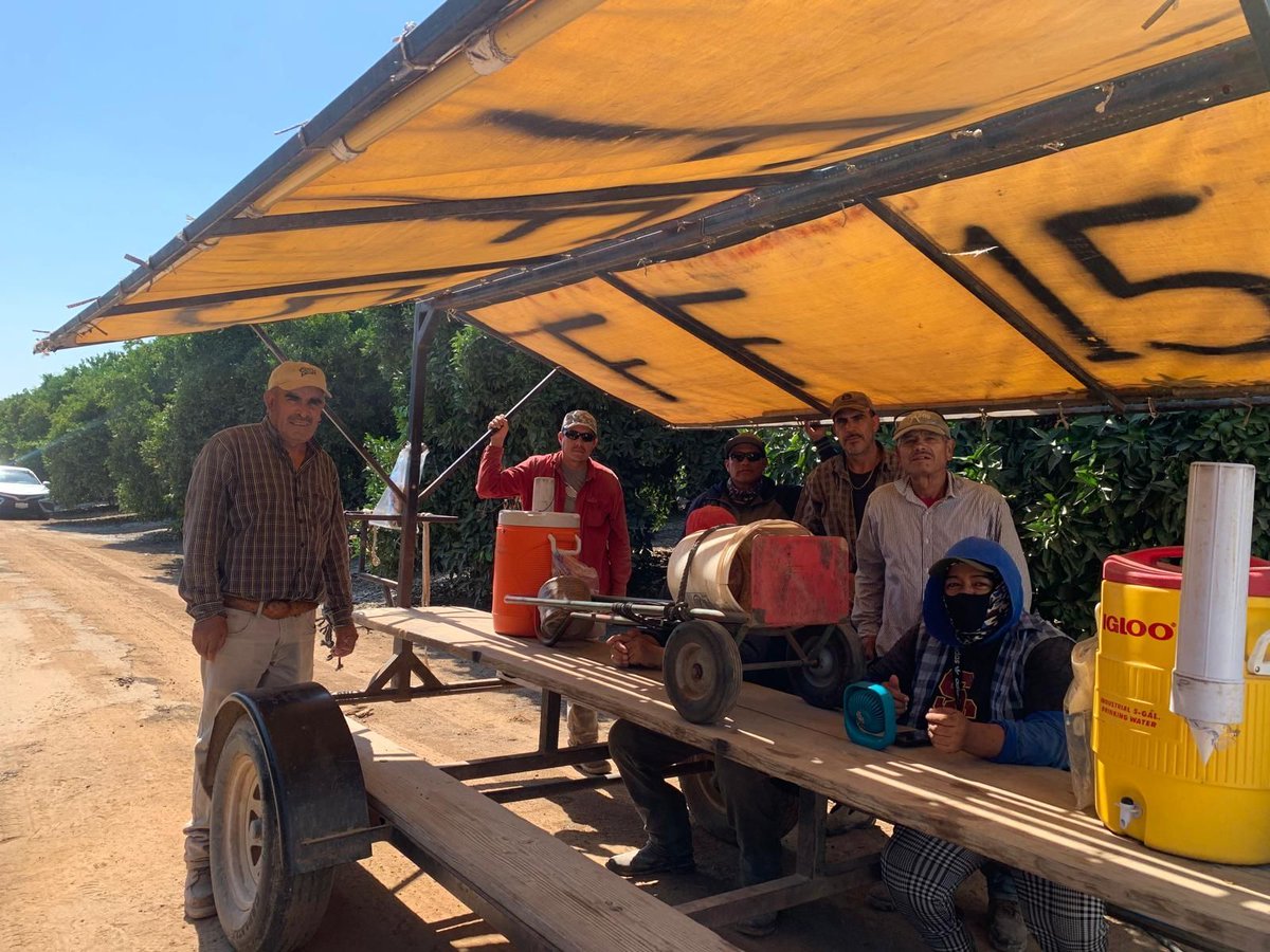 These farm workers under union contract at Central Valley Ag Mgt in CA are enjoying a brief break. The temperature was only 92°. If the temperature reaches 100° the company would send the workers home for their safety. #WeFeedYou #UnionsForAll
