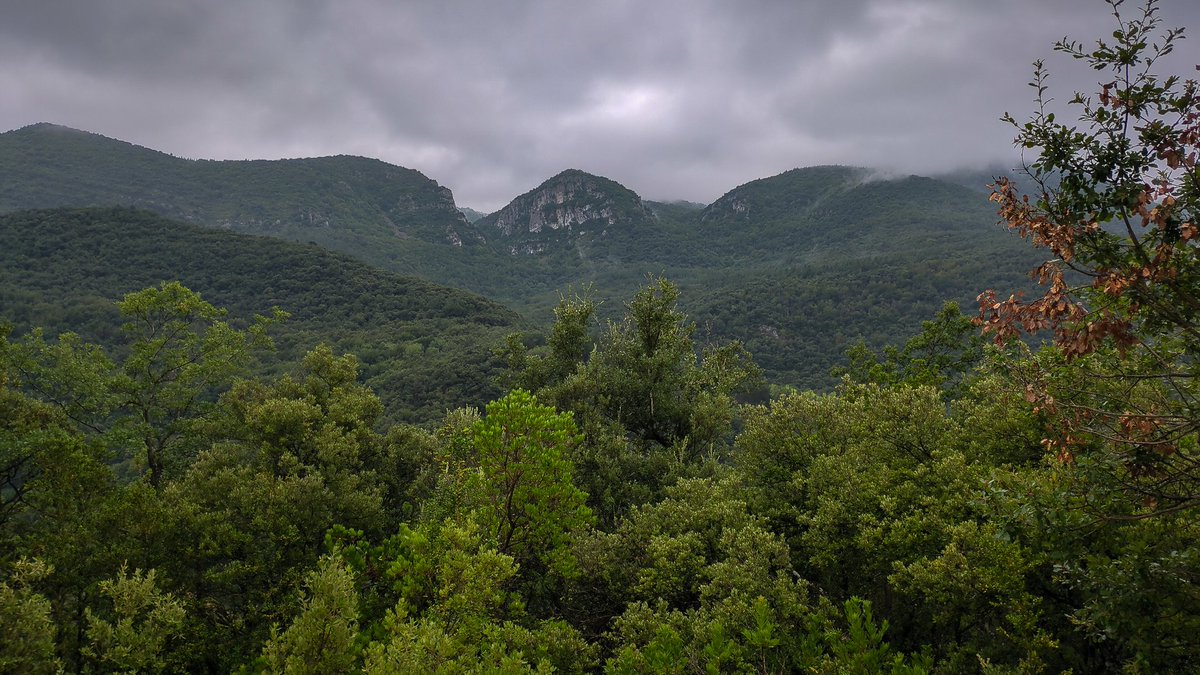 PhotoPlanas's tweet photo. Y el camino de vuelta fue precioso por la ladera del monte. Unas vistas espectaculares. https://t.co/5CoZANsakt