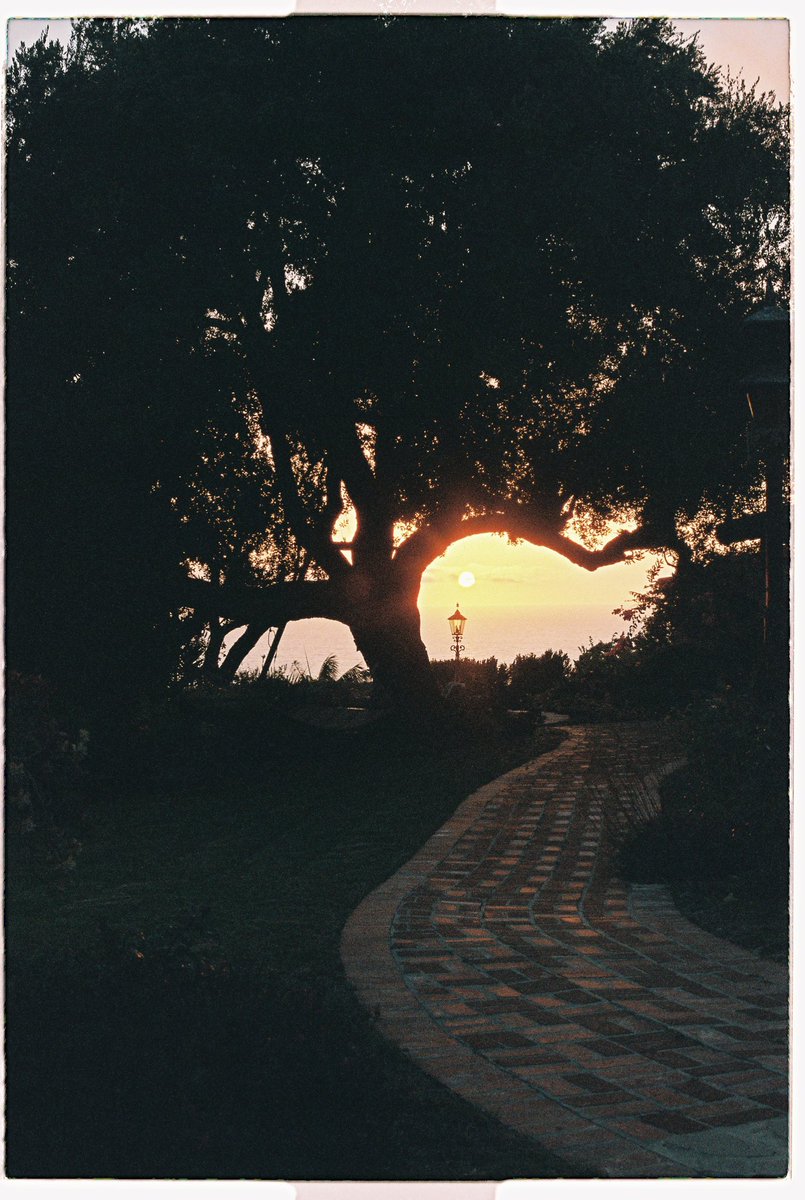 i’d do it all again just to feel it (35mm)